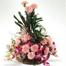 Carnation With Orchids